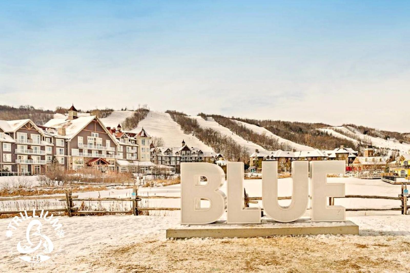 Blue Mountain, Collingwood - Loft Condo, Sleeps 4 Блу Маунтинс Екстериор снимка