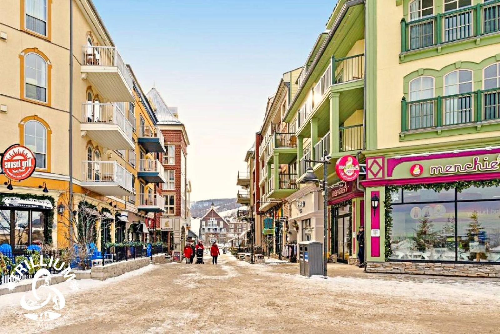Blue Mountain, Collingwood - Loft Condo, Sleeps 4 Блу Маунтинс Екстериор снимка